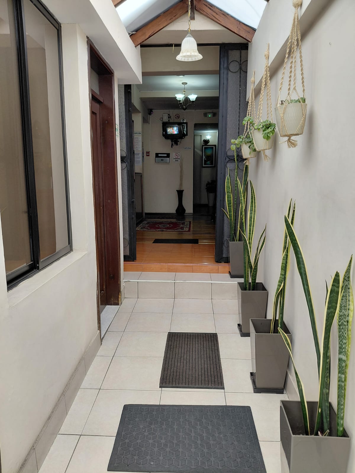 Pasillo de entrada con plantas decorativas y tragaluz natural en hostal Quito