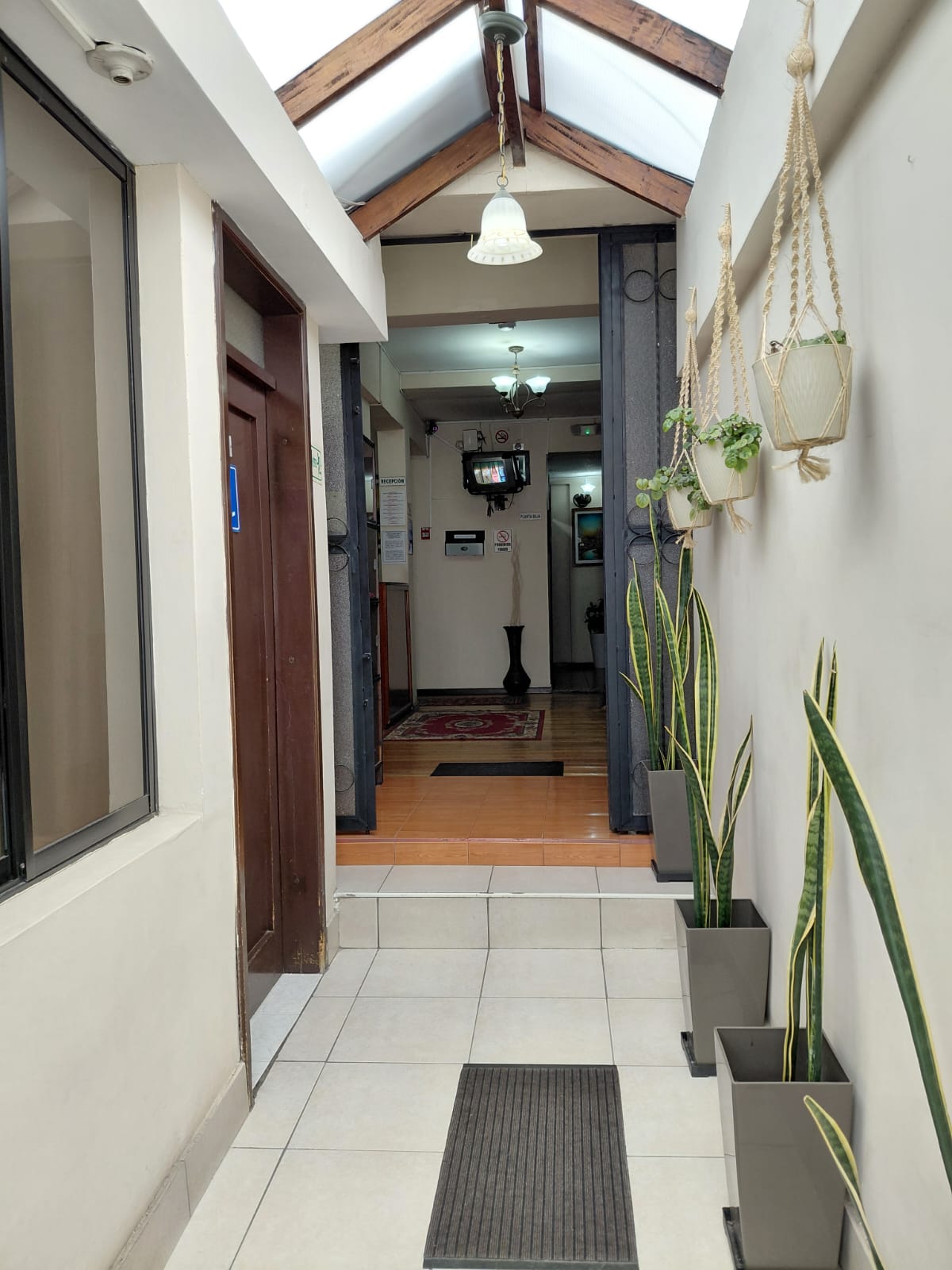 Corredor iluminado con plantas y techo de vidrio en hostal céntrico de Quito