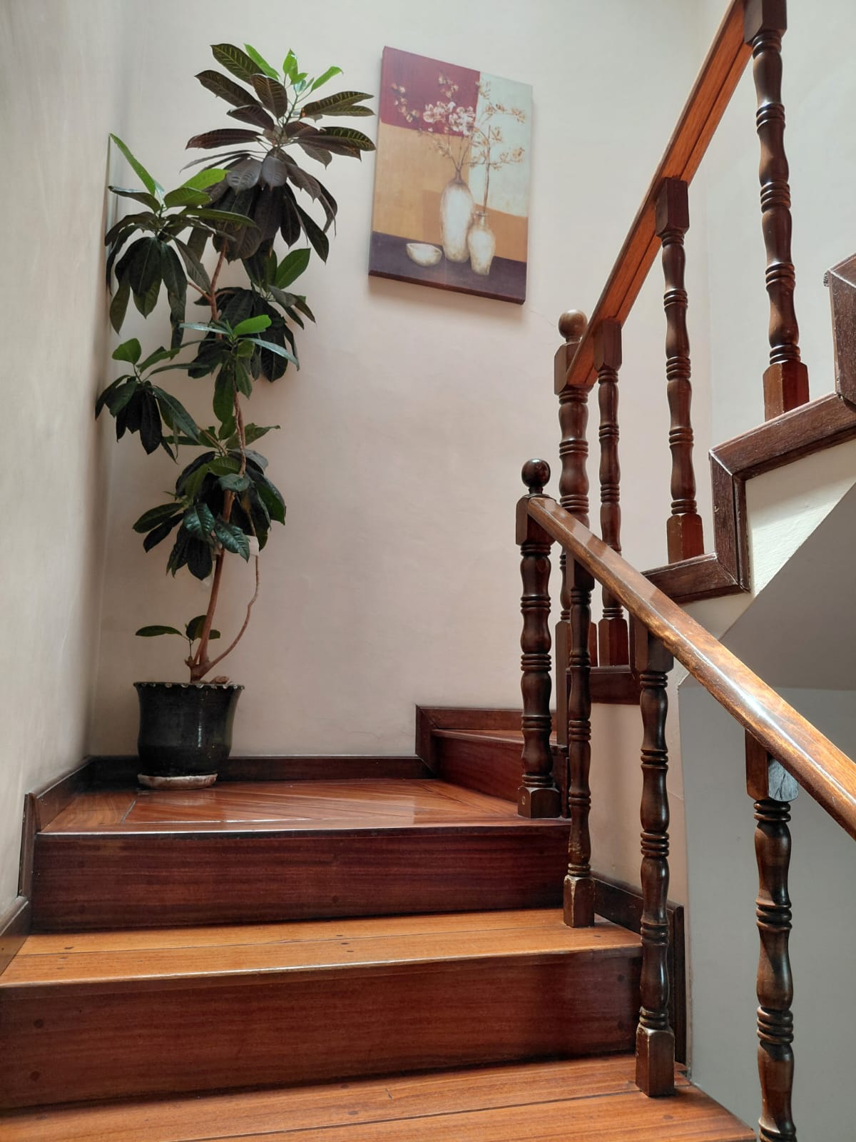 Escalera de madera con planta decorativa y cuadro artístico en hostal Quito